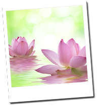 お客様の声_イメージ