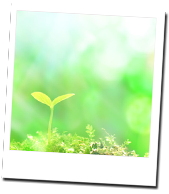 お客様の声イメージ