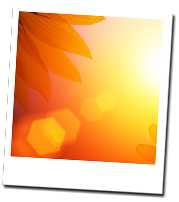 お客様の声イメージ